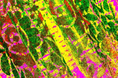 yaratıcı ve tasarım sanatı, kopyalama alanı duvar kağıdı, soyut renkli doku arkaplanı  