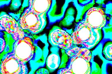 yaratıcı ve tasarım sanatı, kopyalama alanı duvar kağıdı, soyut renkli doku arkaplanı  