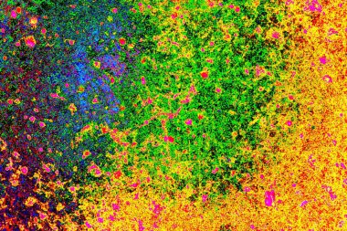 yaratıcı ve tasarım sanatı, kopyalama alanı duvar kağıdı, soyut renkli doku arkaplanı