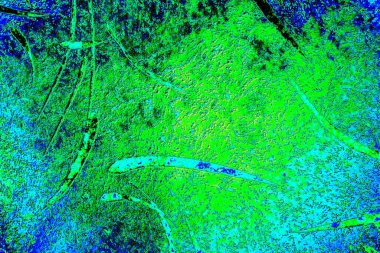 yaratıcı ve tasarım sanatı, kopyalama alanı duvar kağıdı, soyut renkli doku arkaplanı  