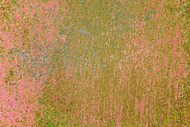 yaratıcı ve tasarım sanatı, kopyalama alanı duvar kağıdı, soyut renkli doku arkaplanı  