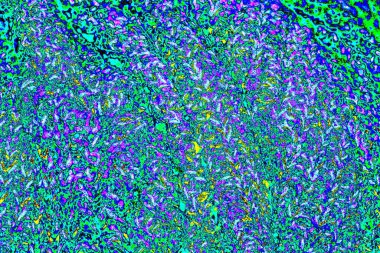 yaratıcı ve tasarım sanatı, kopyalama alanı duvar kağıdı, soyut renkli doku arkaplanı  