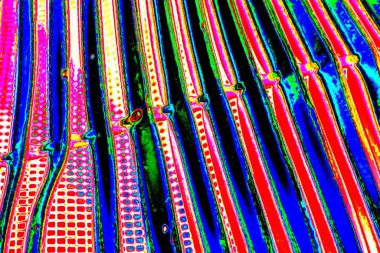 yaratıcı ve tasarım sanatı, kopyalama alanı duvar kağıdı, soyut renkli doku arkaplanı