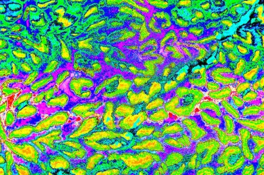 yaratıcı ve tasarım sanatı, kopyalama alanı duvar kağıdı, soyut renkli doku arkaplanı  