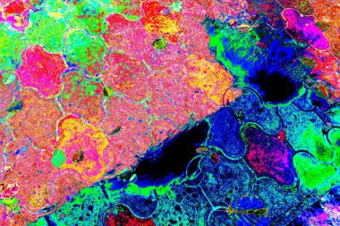 yaratıcı ve tasarım sanatı, kopyalama alanı duvar kağıdı, soyut renkli doku arkaplanı  