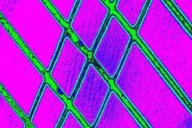 yaratıcı ve tasarım sanatı, kopyalama alanı duvar kağıdı, soyut renkli doku arkaplanı  