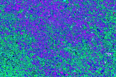 yaratıcı ve tasarım sanatı, kopyalama alanı duvar kağıdı, soyut renkli doku arkaplanı  