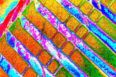 yaratıcı ve tasarım sanatı, kopyalama alanı duvar kağıdı, soyut renkli doku arkaplanı  