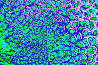 yaratıcı ve tasarım sanatı, kopyalama alanı duvar kağıdı, soyut renkli doku arkaplanı  
