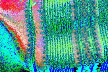 yaratıcı ve tasarım sanatı, kopyalama alanı duvar kağıdı, soyut renkli doku arkaplanı  