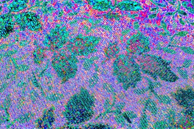 yaratıcı ve tasarım sanatı, kopyalama alanı duvar kağıdı, soyut renkli doku arkaplanı  