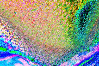 yaratıcı ve tasarım sanatı, kopyalama alanı duvar kağıdı, soyut renkli doku arkaplanı  