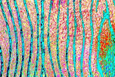 yaratıcı ve tasarım sanatı, kopyalama alanı duvar kağıdı, soyut renkli doku arkaplanı  