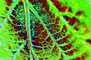 yaratıcı ve tasarım sanatı, kopyalama alanı duvar kağıdı, soyut renkli doku arkaplanı  