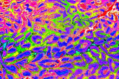 yaratıcı ve tasarım sanatı, kopyalama alanı duvar kağıdı, soyut renkli doku arkaplanı  