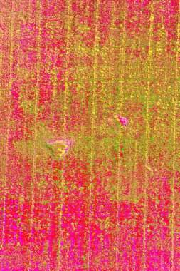 Eski boya soyma dokusu ahşap arka plan. Ahşap arkaplan