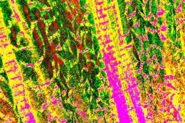 yaratıcı ve tasarım sanatı, kopyalama alanı duvar kağıdı, soyut renkli doku arkaplanı  