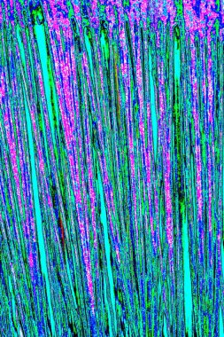 yaratıcı ve tasarım sanatı, kopyalama alanı duvar kağıdı, soyut renkli doku arkaplanı