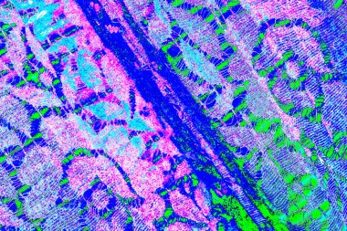 yaratıcı ve tasarım sanatı, kopyalama alanı duvar kağıdı, soyut renkli doku arkaplanı  