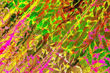 yaratıcı ve tasarım sanatı, kopyalama alanı duvar kağıdı, soyut renkli doku arkaplanı  