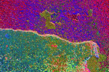 yaratıcı ve tasarım sanatı, kopyalama alanı duvar kağıdı, soyut renkli doku arkaplanı  