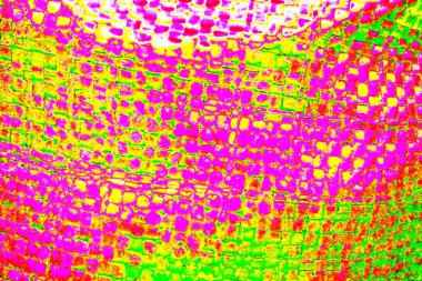 yaratıcı ve tasarım sanatı, kopyalama alanı duvar kağıdı, soyut renkli doku arkaplanı  