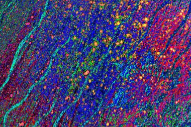 yaratıcı ve tasarım sanatı, kopyalama alanı duvar kağıdı, soyut renkli doku arkaplanı  