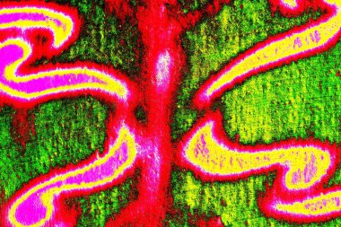 yaratıcı ve tasarım sanatı, kopyalama alanı duvar kağıdı, soyut renkli doku arkaplanı