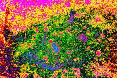 yaratıcı ve tasarım sanatı, kopyalama alanı duvar kağıdı, soyut renkli doku arkaplanı