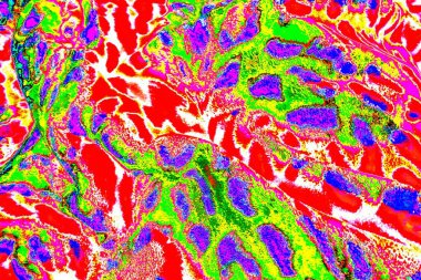 yaratıcı ve tasarım sanatı, kopyalama alanı duvar kağıdı, soyut renkli doku arkaplanı  