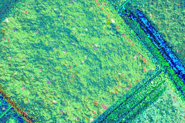 yaratıcı ve tasarım sanatı, kopyalama alanı duvar kağıdı, soyut renkli doku arkaplanı  