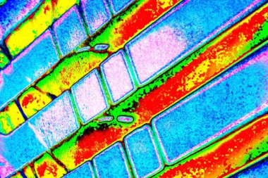 yaratıcı ve tasarım sanatı, kopyalama alanı duvar kağıdı, soyut renkli doku arkaplanı  