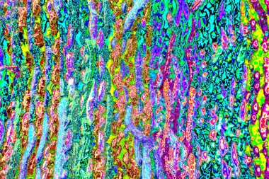 yaratıcı ve tasarım sanatı, kopyalama alanı duvar kağıdı, soyut renkli doku arkaplanı  