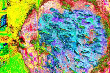 yaratıcı ve tasarım sanatı, kopyalama alanı duvar kağıdı, soyut renkli doku arkaplanı  