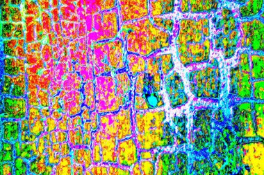 yaratıcı ve tasarım sanatı, kopyalama alanı duvar kağıdı, soyut renkli doku arkaplanı  