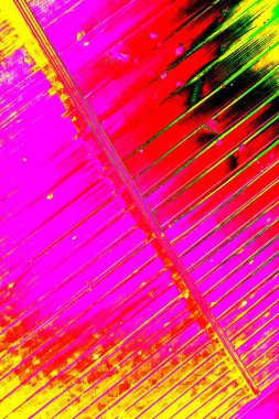 yaratıcı ve tasarım sanatı, kopyalama alanı duvar kağıdı, soyut renkli doku arkaplanı  