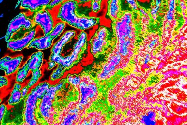 yaratıcı ve tasarım sanatı, kopyalama alanı duvar kağıdı, soyut renkli doku arkaplanı  