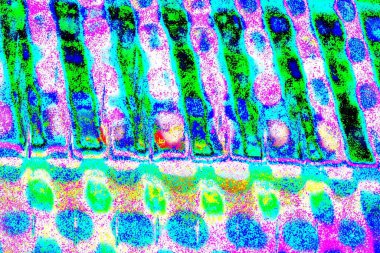 yaratıcı ve tasarım sanatı, kopyalama alanı duvar kağıdı, soyut renkli doku arkaplanı