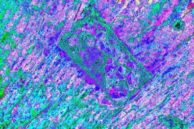 yaratıcı ve tasarım sanatı, kopyalama alanı duvar kağıdı, soyut renkli doku arkaplanı  