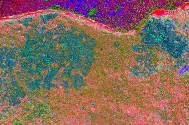 yaratıcı ve tasarım sanatı, kopyalama alanı duvar kağıdı, soyut renkli doku arkaplanı  