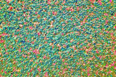 yaratıcı ve tasarım sanatı, kopyalama alanı duvar kağıdı, soyut renkli doku arkaplanı  