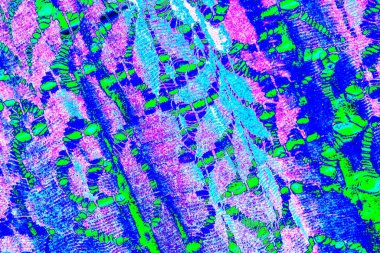 yaratıcı ve tasarım sanatı, kopyalama alanı duvar kağıdı, soyut renkli doku arkaplanı  