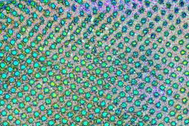 yaratıcı ve tasarım sanatı, kopyalama alanı duvar kağıdı, soyut renkli doku arkaplanı  