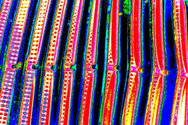 yaratıcı ve tasarım sanatı, kopyalama alanı duvar kağıdı, soyut renkli doku arkaplanı