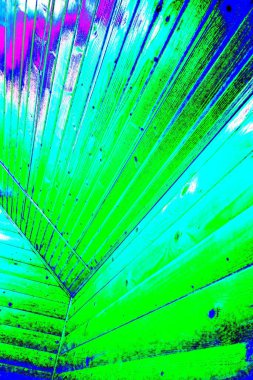 yaratıcı ve tasarım sanatı, kopyalama alanı duvar kağıdı, soyut renkli doku arkaplanı  