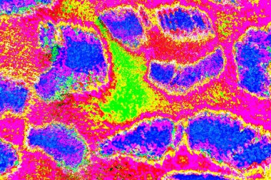 yaratıcı ve tasarım sanatı, kopyalama alanı duvar kağıdı, soyut renkli doku arkaplanı  