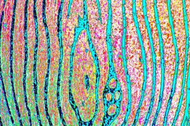 yaratıcı ve tasarım sanatı, kopyalama alanı duvar kağıdı, soyut renkli doku arkaplanı  