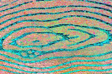 yaratıcı ve tasarım sanatı, kopyalama alanı duvar kağıdı, soyut renkli doku arkaplanı  