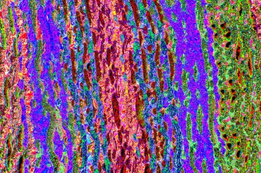 yaratıcı ve tasarım sanatı, kopyalama alanı duvar kağıdı, soyut renkli doku arkaplanı