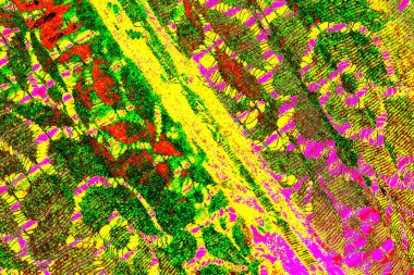 yaratıcı ve tasarım sanatı, kopyalama alanı duvar kağıdı, soyut renkli doku arkaplanı  